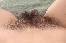 dion wearehairy chubby instant
