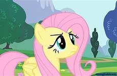 pony gif little fluttershy yay scared mlp gifs shocked surprised giphy fim rainbow dash rig introduction train spike animated race