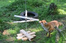 enrichment dog zoo feeder animals animal carnivore tube spinning toys large potty fox their wildcat secrets trainers traing possible idea
