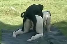 dog fuck mom slut amateur animal creampied outdoors videos cunt wet getting ago years