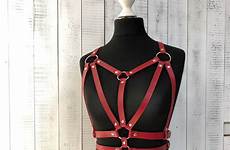 harness harnessleather