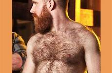 hairy beard chested