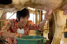milking men stock cow man newest results
