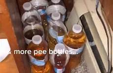 urine into basement dozens leaves using explaining colleen