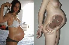 interracial pregnant breeding slut got xxxneoncity
