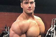 pecs muscle muscular builtbytallsteve hunks biceps buff bodybuilders