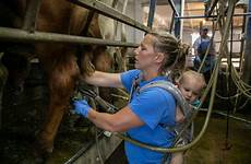 milking midwest grassland cow perennial grasslands seeks meagan pasture farming parlor farrell aims replace corn wisc belleville wisconsin civileats