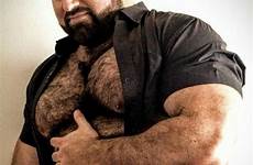 men daddy beard hunks chested