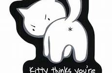 asshole kitty thinks re amazon stickers