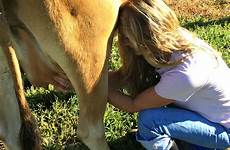 milking cow milk time first expect when stood flake munching pail hay streams gently flowed while still she into