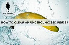 uncircumcised penises organ requires