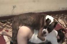 dog woman her gets fucking videos female drilled pussy has zoo angry doggy sweet