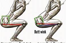 squat wink maximus squats problem gluteus glutes hamstrings