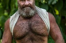muscle daddy bear hairy men gay bearded beefy bears mature guy chest older choose board
