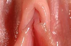 clitoris grool closeup