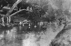 swimming lockyer sepia trove qld 1890 picnics saturday queensland gatton bishop expired slq oai gov