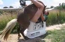 horse fucking guy ass videos outdoor zoophilia