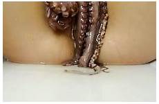 octopus pussy motherless homemade amateur
