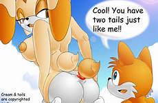 cream tails sonic xxx rabbit cheese chao rule34 rule tail respond edit ass female