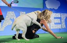amanda holden dogs her animal mounted she hero awards battersea pup life down dog overzealous got over licked bowled hosts