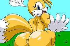 pussy tailsko tails fox ass female solo sonic prower miles rule anthro furry e621 respond edit