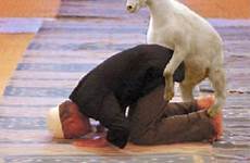 erdogan koza arm praying paki chèvre goats turkse attaque satire bedriegt consulaat rotterdam turken cabra pakistani talibanes felicitar su religieuse