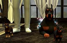 bestiality pets mod sex sims loverslab woohoo alfa agra rl dobermanns mostly lovely too funny so