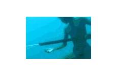 underwater seabed gifer