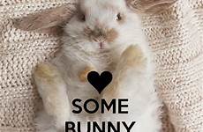 bunnies loves somebunny rabbits fluffy sweet explore