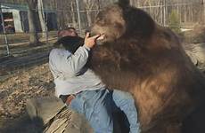 bear hug man brown giant rescue befriends