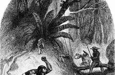 slave slavery away around plantation engraving resonance enduring 1860 attempting capture run york apic getty credit times sunday