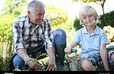 grandpa grandson gardening together summer time alamy stock grandfather