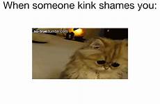 kink shaming meme shame people when shames someone do gif cat sucks why random previous next