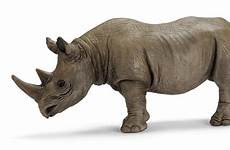 rhino schleich animal