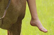 riding barefoot bareback horses horse girls ride choose board equestrian women