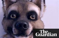 furry sex furries animal why normal among fan