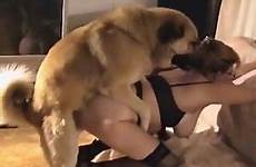 mature dog zoo her doggy videos nerdy pose impaled gets female style tube