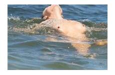 joanna krupa topless beach nude miami bikini sexiest takes pic