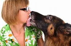 dog kissing girl isolated bad canine preview