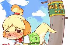 animal crossing furry peeing isabelle pussy dog anthro female omorashi xxx solo interactive rule edit respond deletion flag options request