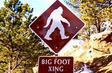 bigfoot sighting baffled flipboard brobible
