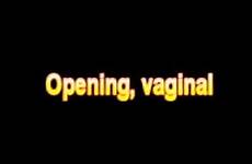 opening vaginal