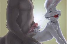 furry gay wolf bdsm bunny bondage male xxx gag ball sex rabbit anthro yaoi gif anime sexy artist lagomorph cum