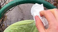 Littering woman faces instant karma