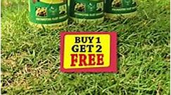 🔥 Hot Sale - Buy 1 Get 2 FREE - Order Now 🔥