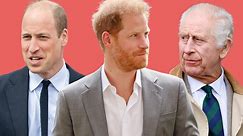 King Charles' Snub for Prince Harry May Be Costly Error