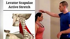 🔴 Levator Scapulae Active Stretch... - Brookbush Institute