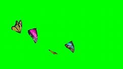 緑のスクリーン背景に春の蝶4Kアニメーション