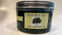 Seeds In A Cup- Tree Growing Kit- Japanese Maple- Tin Planter