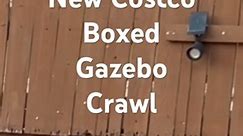Costco Gazebo Crawl